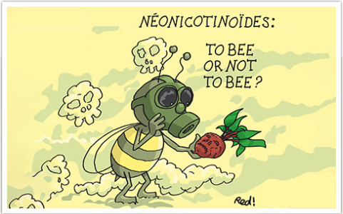 RuchesHtAllier's tweet photo. 🌱 PARTICIPEZ À CETTE CONSULTATION : DITES NON ! 🐝
👉 https://t.co/xx6VUnwv66
#SauvezLesAbeilles - Selon l'ANSES Des solutions alternatives existent : https://t.co/eTf4qylnb8
#StopNeonics https://t.co/nWi9L5qNU1