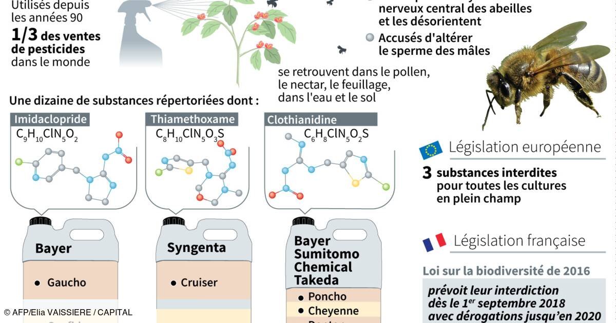 RuchesHtAllier's tweet photo. 🌱 PARTICIPEZ À CETTE CONSULTATION : DITES NON ! 🐝
👉 https://t.co/xx6VUnwv66
#SauvezLesAbeilles - Selon l'ANSES Des solutions alternatives existent : https://t.co/eTf4qylnb8
#StopNeonics https://t.co/nWi9L5qNU1