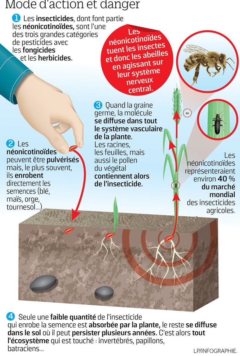 RuchesHtAllier's tweet photo. 🌱 PARTICIPEZ À CETTE CONSULTATION : DITES NON ! 🐝
👉 https://t.co/xx6VUnwv66
#SauvezLesAbeilles - Selon l'ANSES Des solutions alternatives existent : https://t.co/eTf4qylnb8
#StopNeonics https://t.co/nWi9L5qNU1