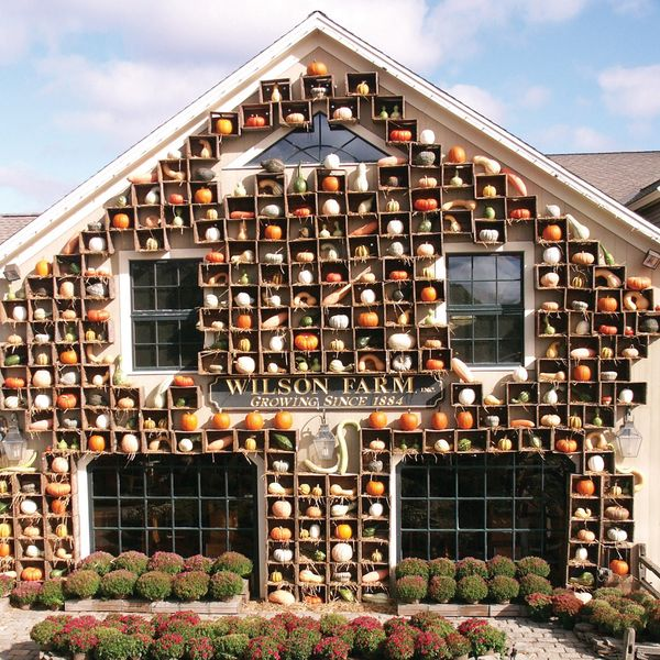 Mercato.com tweet media