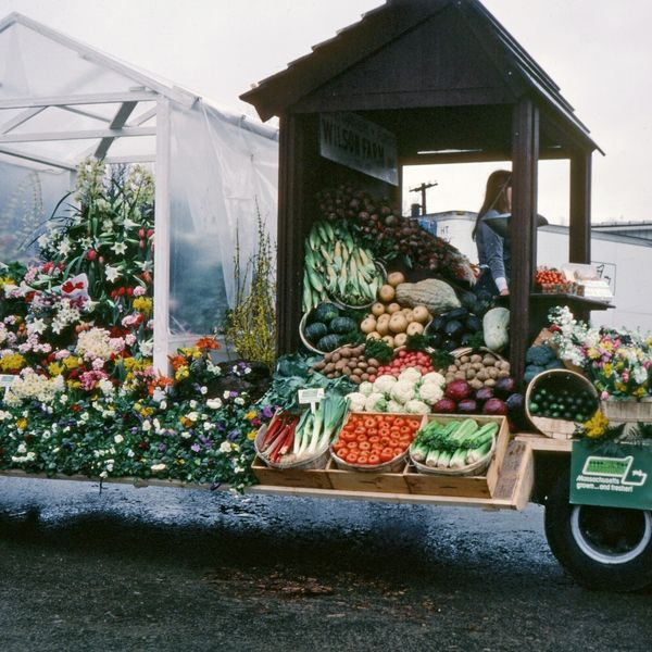 Mercato.com tweet media