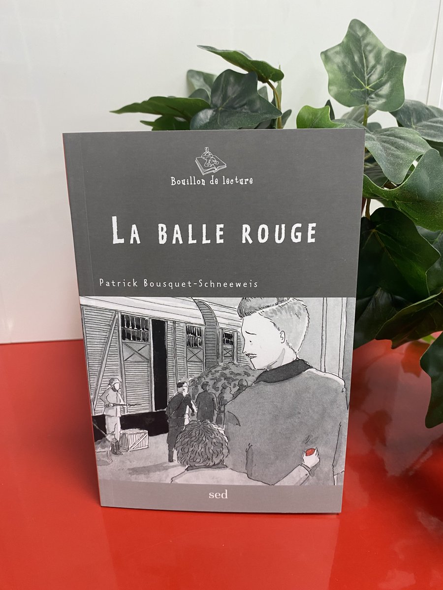 EditionsSed's tweet image. Découvrez « La balle rouge » en lecture suivie en cycle 3. Un récit poignant sur la période de l’occupation allemande. Suivez l’histoire de la famille juive ordinaire de Josué, Sarah, leur fils de 9ans SAM et sa balle rouge.. #LaBalleRouge #Lecturesuivie #Cycle3 #Déportation