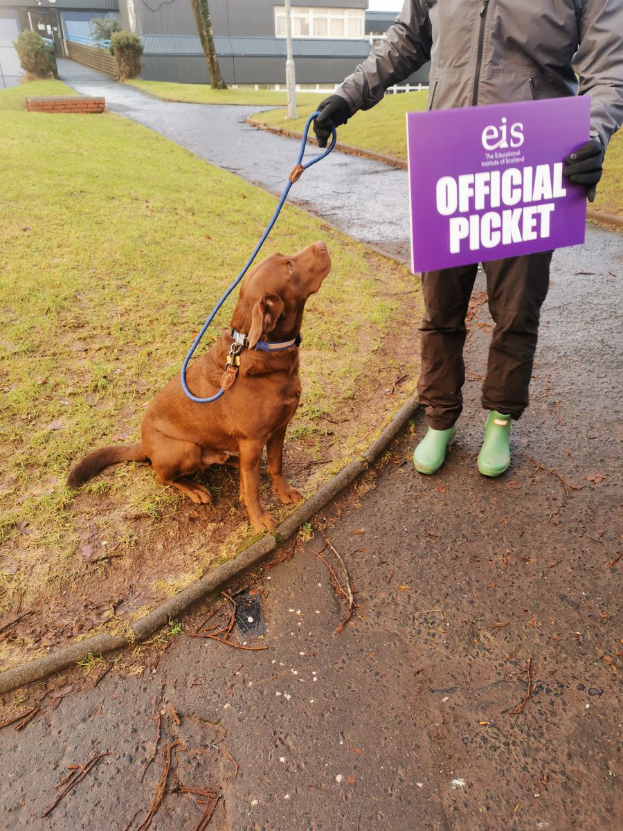 More dogs and official banner <a href="/EISUnion/">EIS</a>