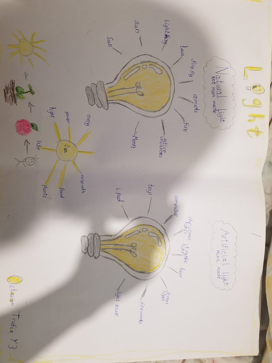 MTrufia's tweet photo. @HexthorpePri @HexthorpePri @astreaacademies homework,,We are only curious to the extent that we are trained,,@year3 @ https://t.co/IOrwdOdSP1