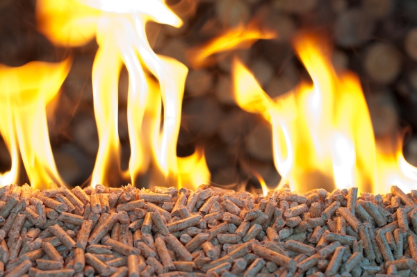 PelletsPremium's tweet photo. ℹ️ Los #pellets de calidad se distinguen de los demás gracias a las certificaciones de calidad, que son una garantía de prestaciones y buen comportamiento. 

🔎Puedes apreciar la calidad en su aspecto liso y uniforme, con ausencia de impurezas y polvo. 
#Biomasa #bioenergia https://t.co/GfReoeVK7N