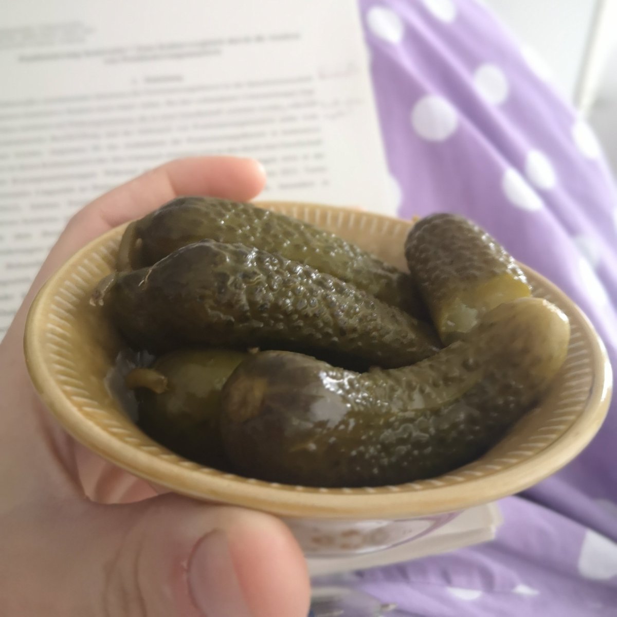 knieselfriend hat mir frühstück ans bett gebracht 😍