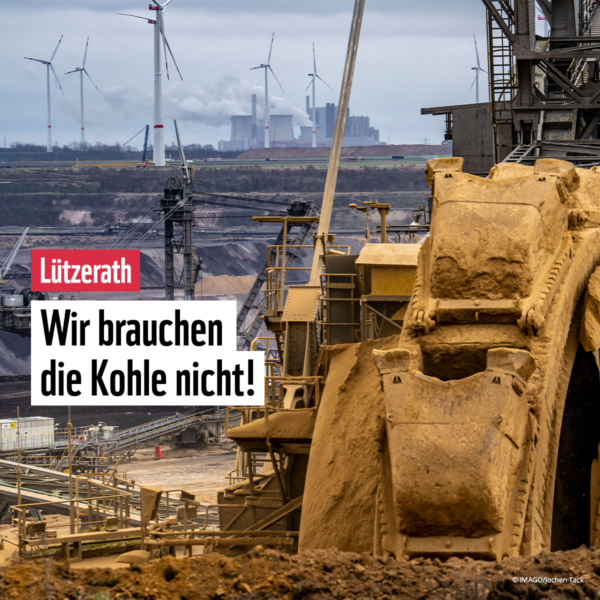 WWF Deutschland tweet media