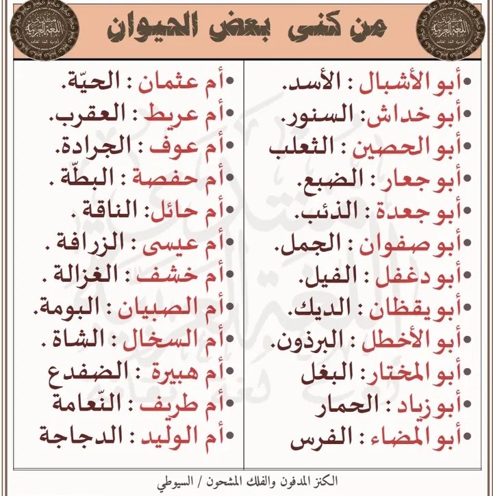 HaithamAlwazir's tweet photo. https://t.co/qunKyt22ME