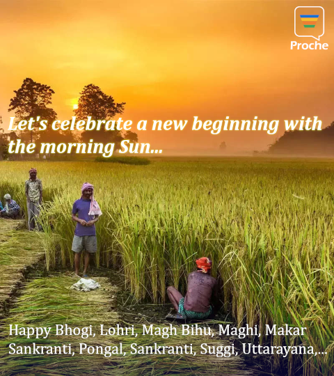 Proche Solutions tweet media