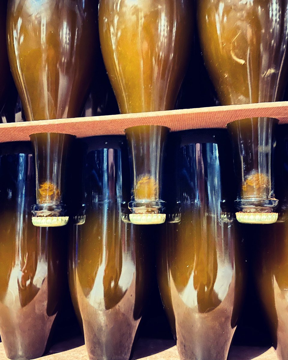 FincaMasPerdut's tweet photo. 💥Nova anyada del 🫁 en punta‼️ nomes 1500 ampolles😱 #pulmodemasperdut #masperdut #vinsambamor #ancestral #petnat #naturalwines #lowintervention #santaoliva #baixpenedes #rawines https://t.co/5ACPzvNnNQ