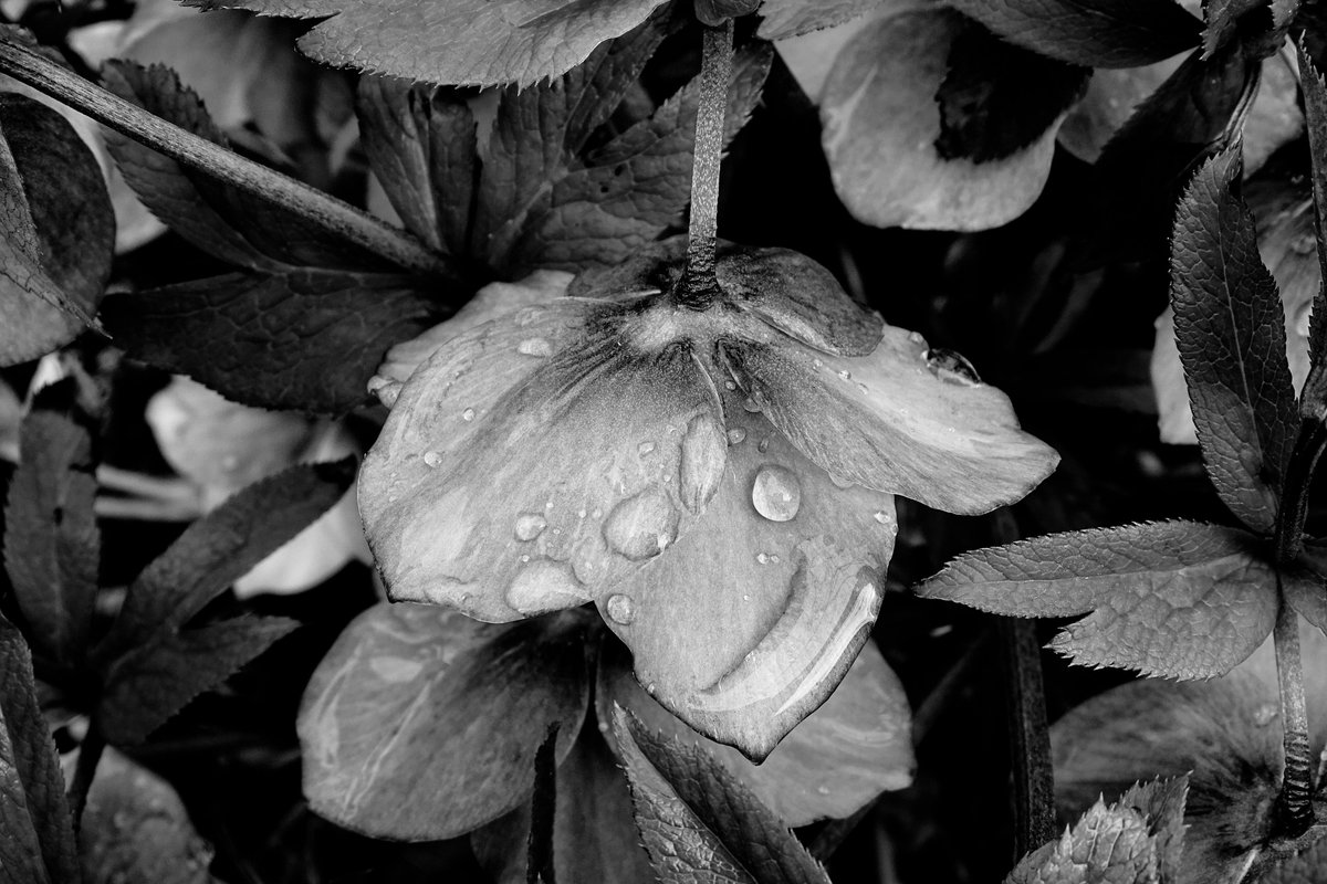 Gm NFT frens☀️☕️☕️

Let's have a brilliant Wednesday🌸🤍