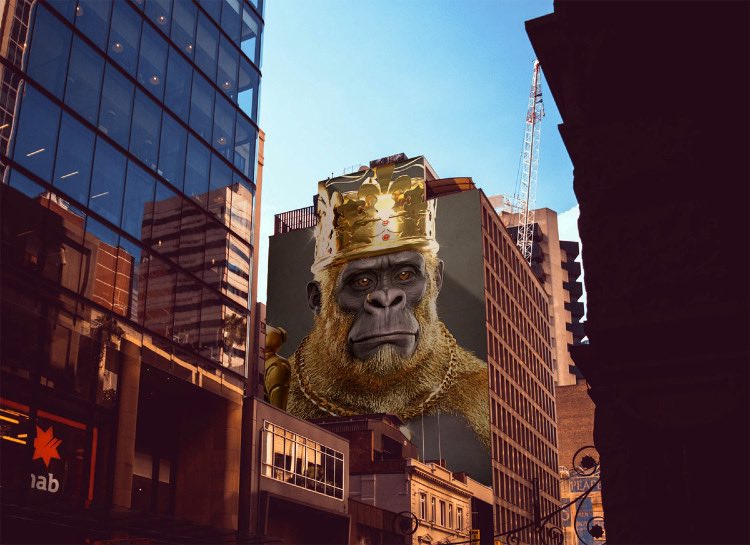 6iXthMaster's tweet photo. @supremekong                   KING OF THE JUNGLE WHETHER NATURAL OR CONCRETE. #KONGSEASON https://t.co/PLZ1xFgqby