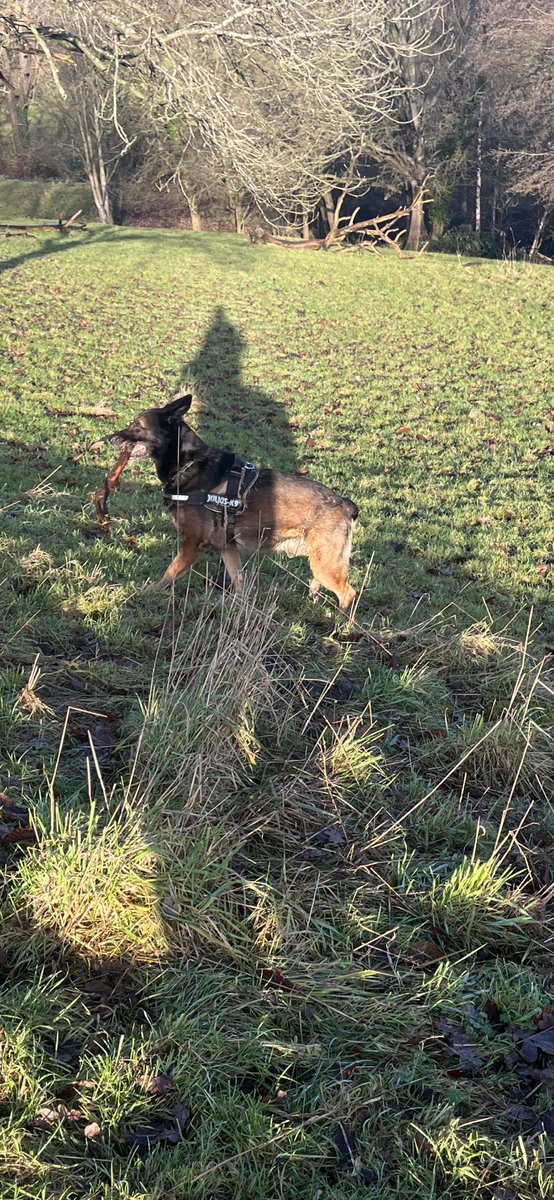 Morning twitterland 
Beautiful day in sunny Essex 
#DailyWeatherReport