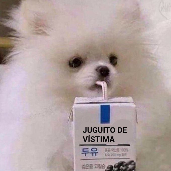 Benita dos Carallos tweet media
