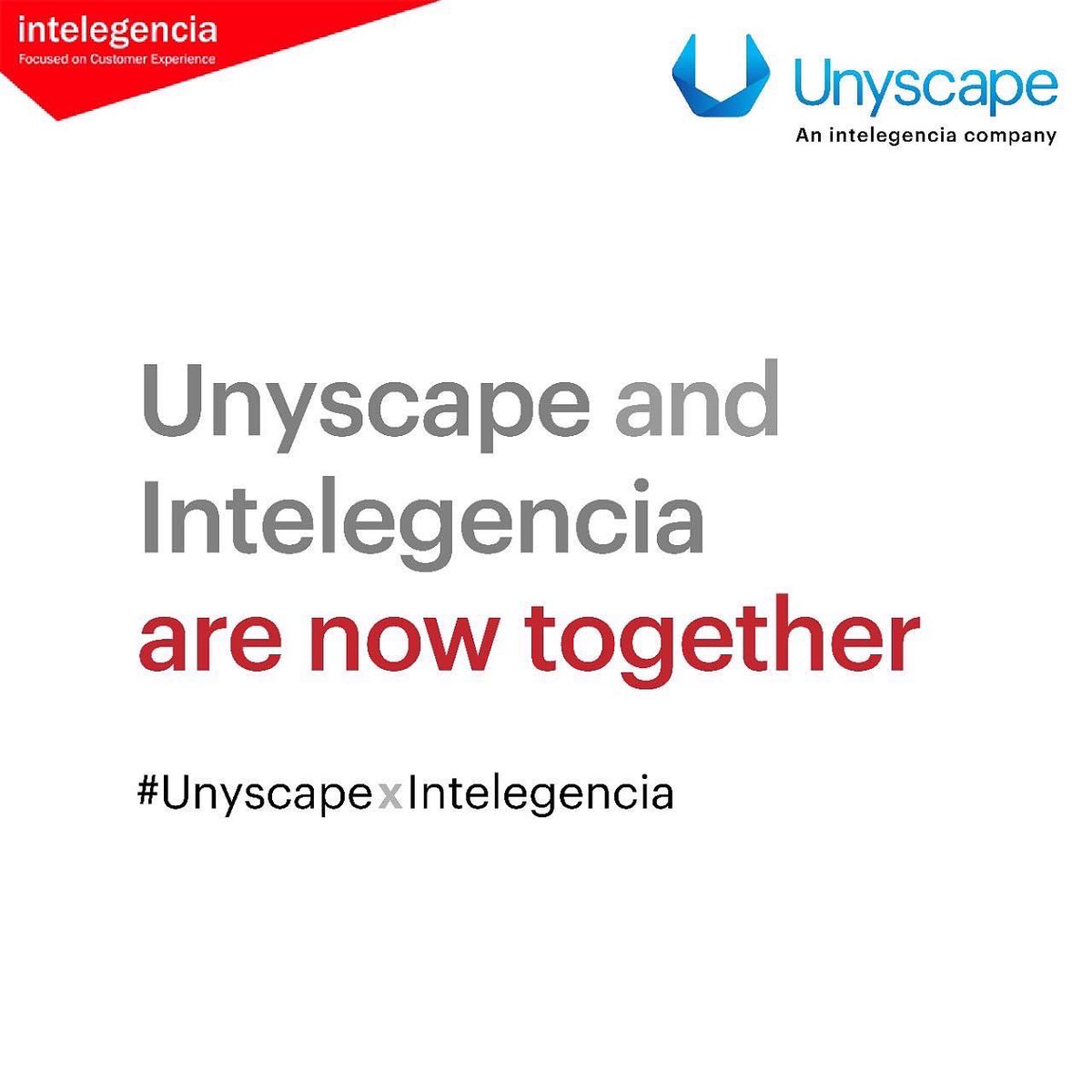 unyscape tweet picture