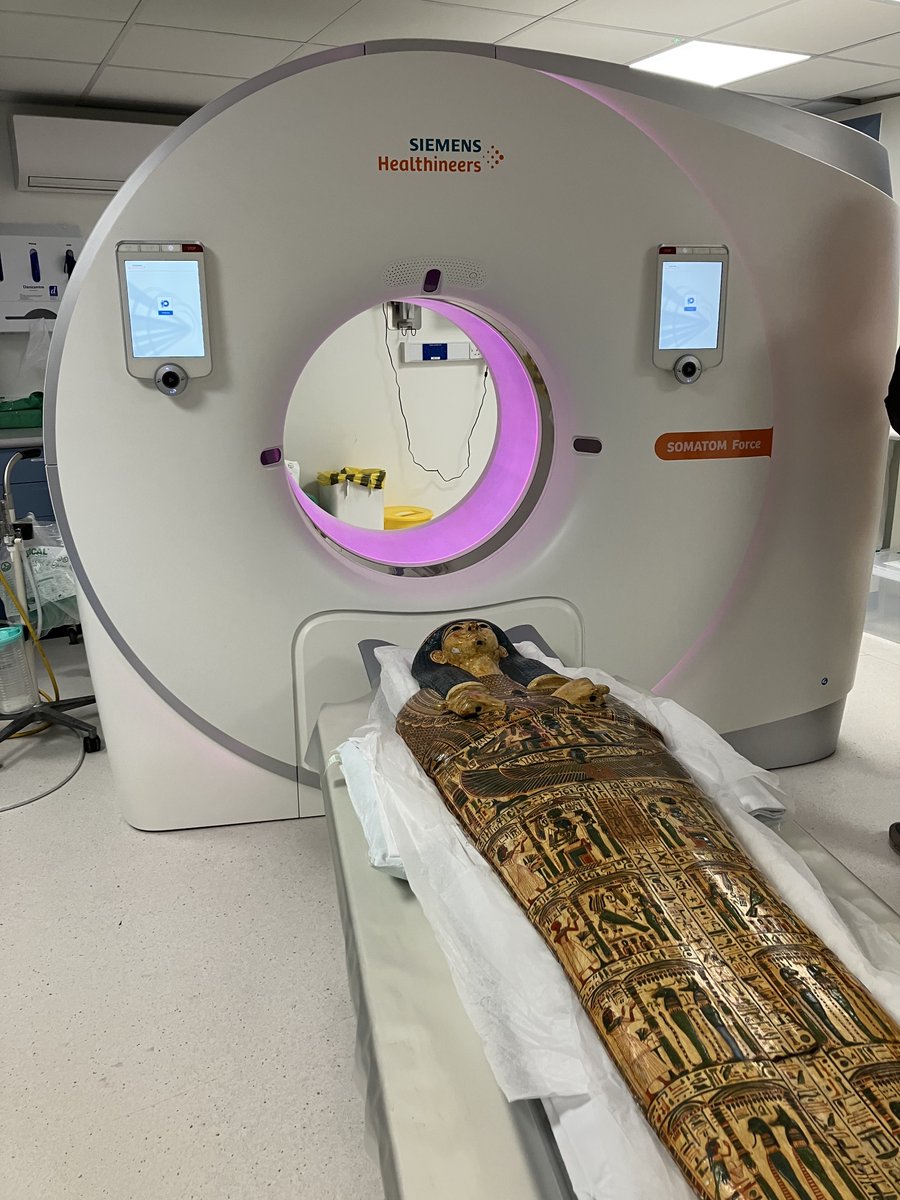 On Sunday, we were lucky enough to go to Addenbrooke's Hospital to CT scan Nespawershefyt's mummy board: egyptiancoffins.org/news/newCTscan…
Thanks <a href="/LeverhulmeTrust/">The Leverhulme Trust</a> for supporting Emeritus Fellow <a href="/DawsonJd110/">Julie Dawson</a> in this work

(Thanks to conservator Flavia Ravaioli for this photo)
#Egyptology
