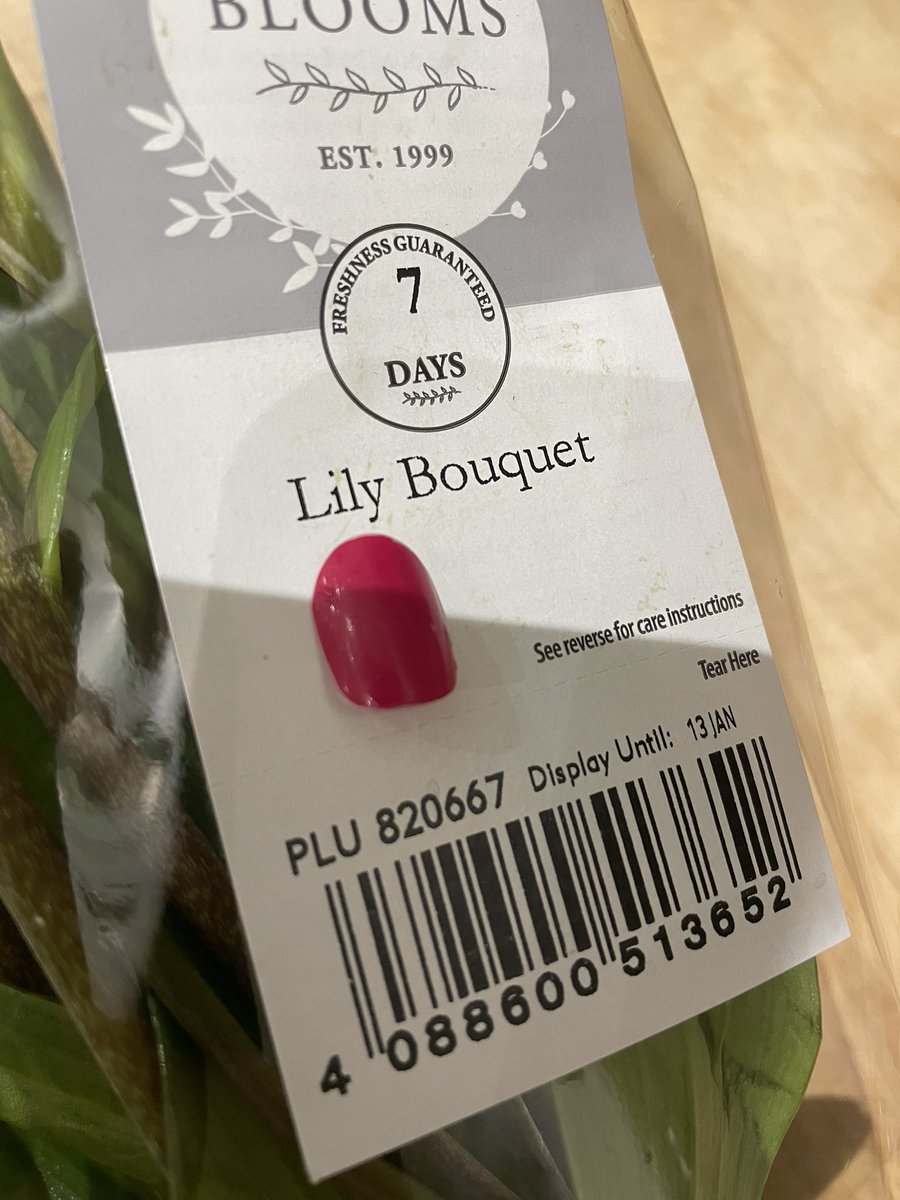When you treat yourself to a cute bunch of flowers from <a href="/AldiUK/">Aldi Stores UK</a> and when you open it find someone’s nail as a little not so cute surprise 🤢