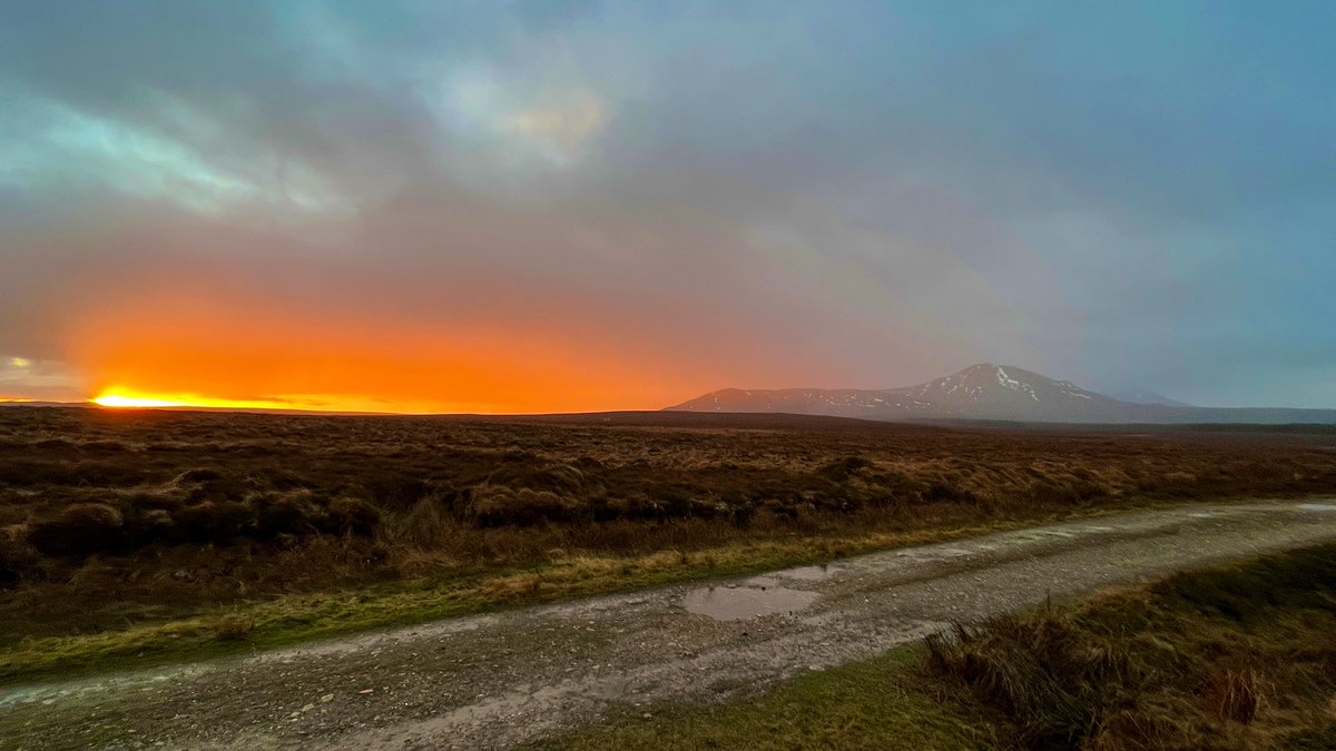 Arrived at the field site early to make the most of the day light hours and was treated to this beauty of a sunrise 🤗

…but somehow forgot the freakin’ field laptop, the one item I needed 🤦🏻‍♂️ 

#shouldhavehadmorecoffee