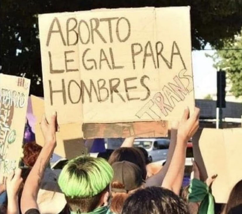 bertrandmyd's tweet photo. ¿Para cagar hace falta una ley? https://t.co/ziMFeBD76J