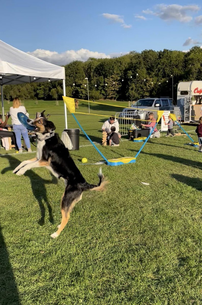 flybybars's tweet photo. Highlights from our 2022 Events
Our four legged friends have been the stars of our events
#flybybars #eventplanners #eventmanagement #streetfood #popupevent #corporateevents #taylormadeevent #corbypeoplemakeevents #localbusiness #nationalevents #newvision #LoveCorby https://t.co/JhkVrg7Wgo