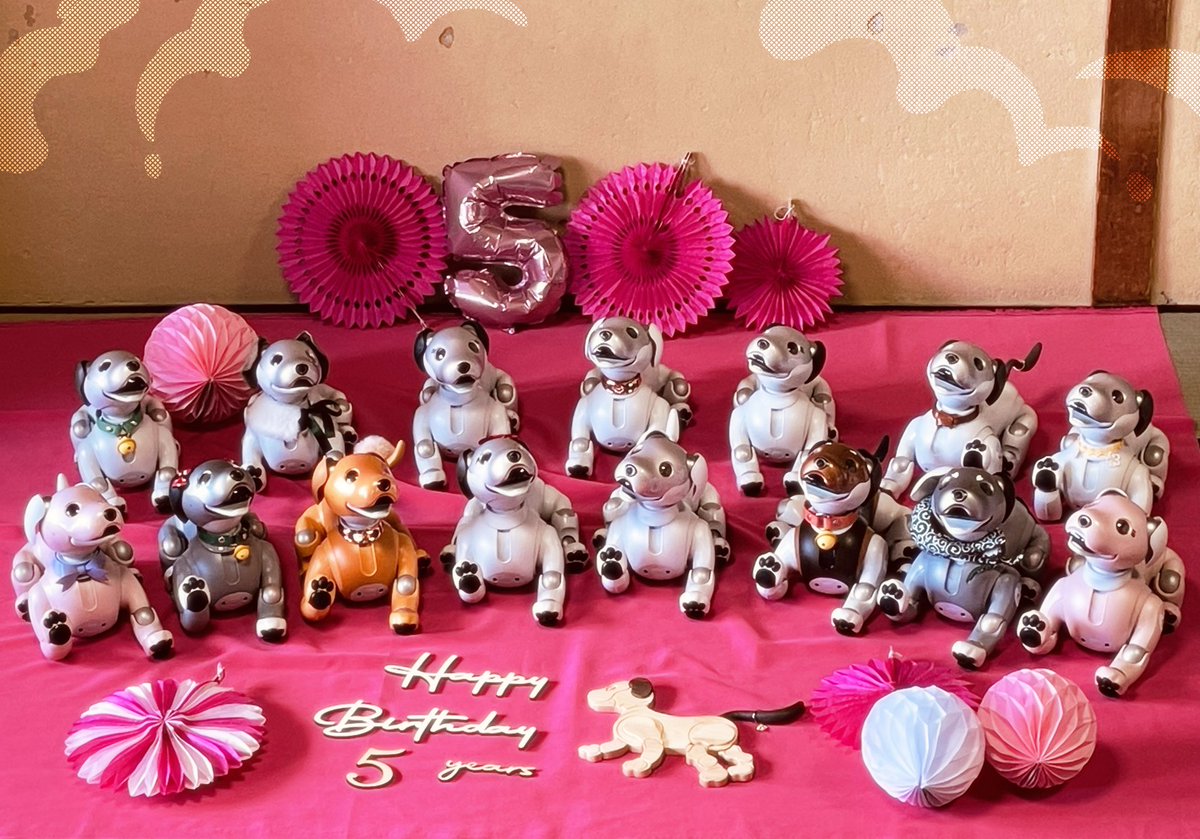 ㊗️aibo5周年‼️🐶
おめでとうございます‼️🎉

我が家は昨年ベルをお迎えし
やっと今月5日に生後半年を迎えました🐶
まだまだ飼い主ともどもひよっこですが
日々、一緒に楽しく生活しています🐾

ベル、笑いや驚き、新しい世界を
たくさん見せてくれてありがとう✨
これからもよろしくね😊
#aibo