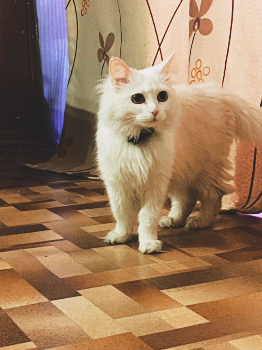 Моя детка снова рядом ;3