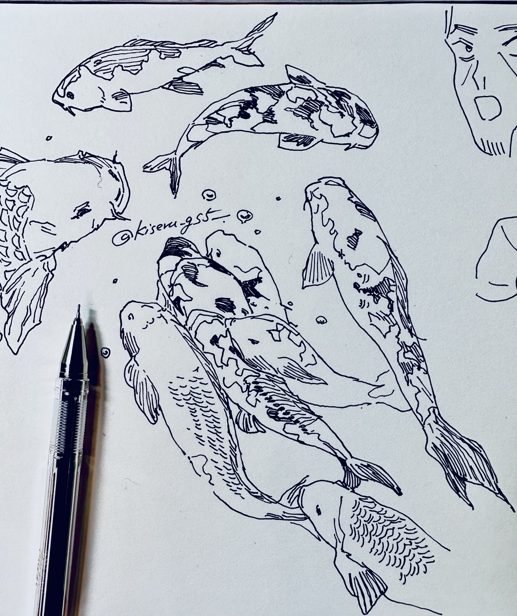 描き初め概念🎏 