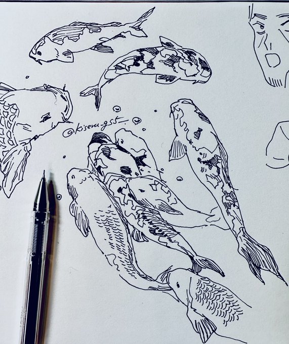 描き初め概念🎏 