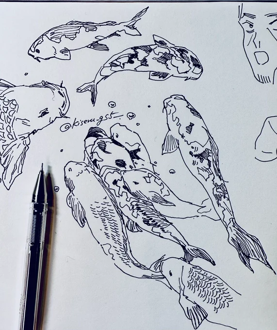 描き初め概念🎏 