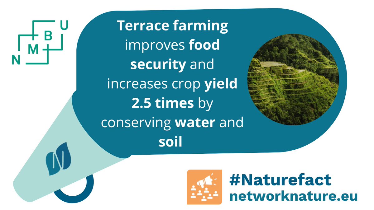 NetworkNature tweet media