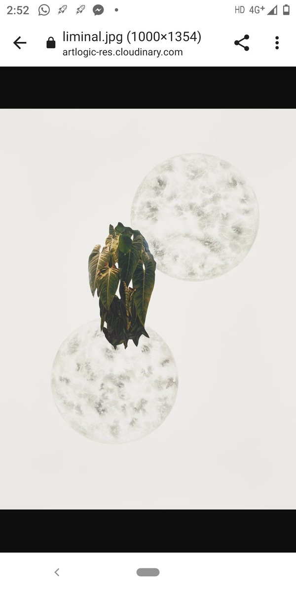 artorcato's tweet photo. #Tarq #art gallery Dhanraj Mahal, Apollo Bunder is
showcasing PSYCHOPOMP by Apnavi Makanji for Mumbai Gallery Weekend!  Tarq will be open between 11am - 8pm from tomorrow January 12th to 15th.
Memory, botany &amp;ecology play key roles in Makanji’s artistic idiom. https://t.co/zFAC4ltsUF