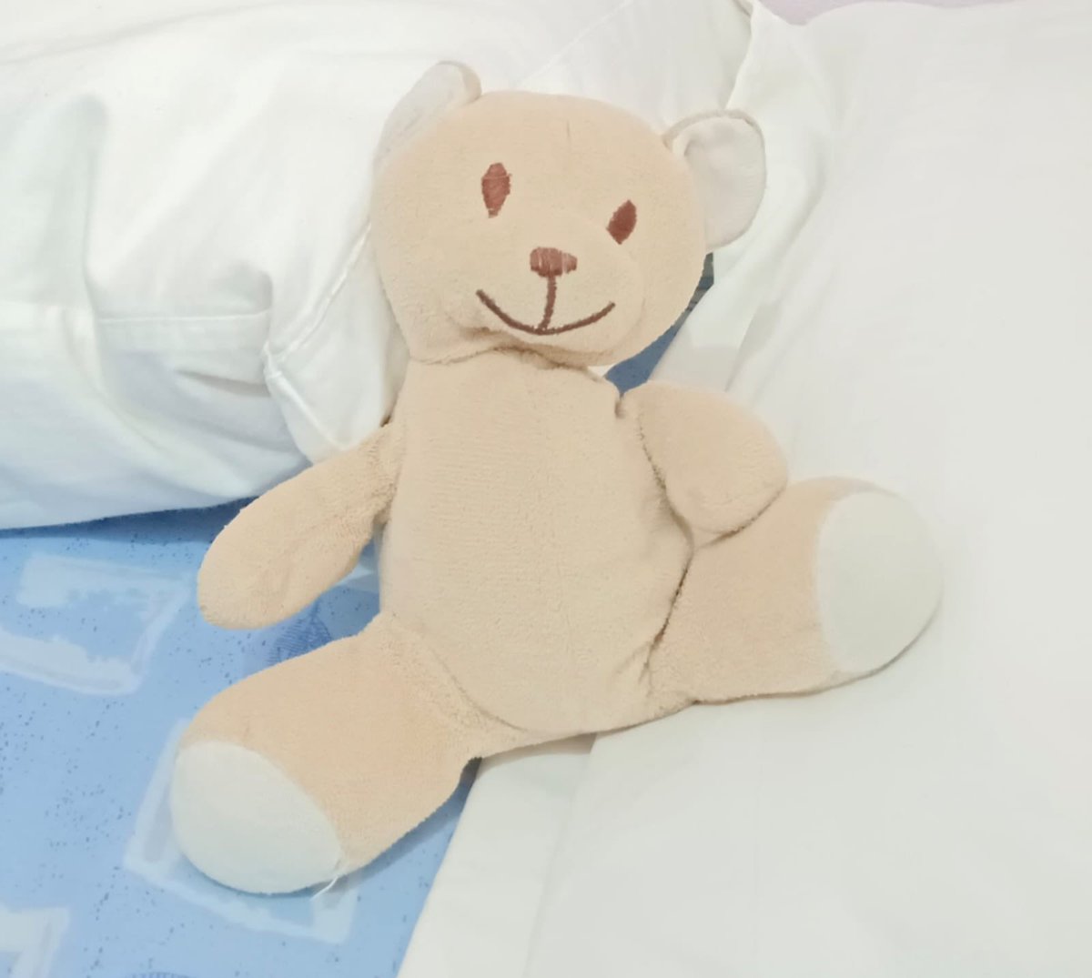 Mi sobrino pequeño ha perdido este peluche, tiene un gran valor sentimental para él y lo está pasando mal. Se le pudo haber caído o en Columbrianos o en Villablino. Mide unos 15cm.

Me ayudáis a buscarlo?🙏 

Ahora es cuando se dice twitter haz tu magia.