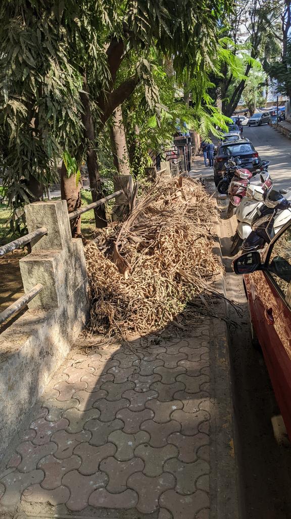 NeilDSilva8's tweet photo. @mybmcWardRN @mybmc @manishaBJP Leaves and branches still on the footpath after 10 days of complaint. It has increased. Please do something about it @mybmcWardRN https://t.co/KyjeTmjcw5