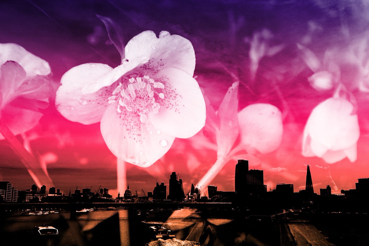 <a href="/FoolySpooky/">spooky_fool</a> 'Watch over You'

2.5 $xtz
5/10

objkt.com/asset/KT1EtVxo…