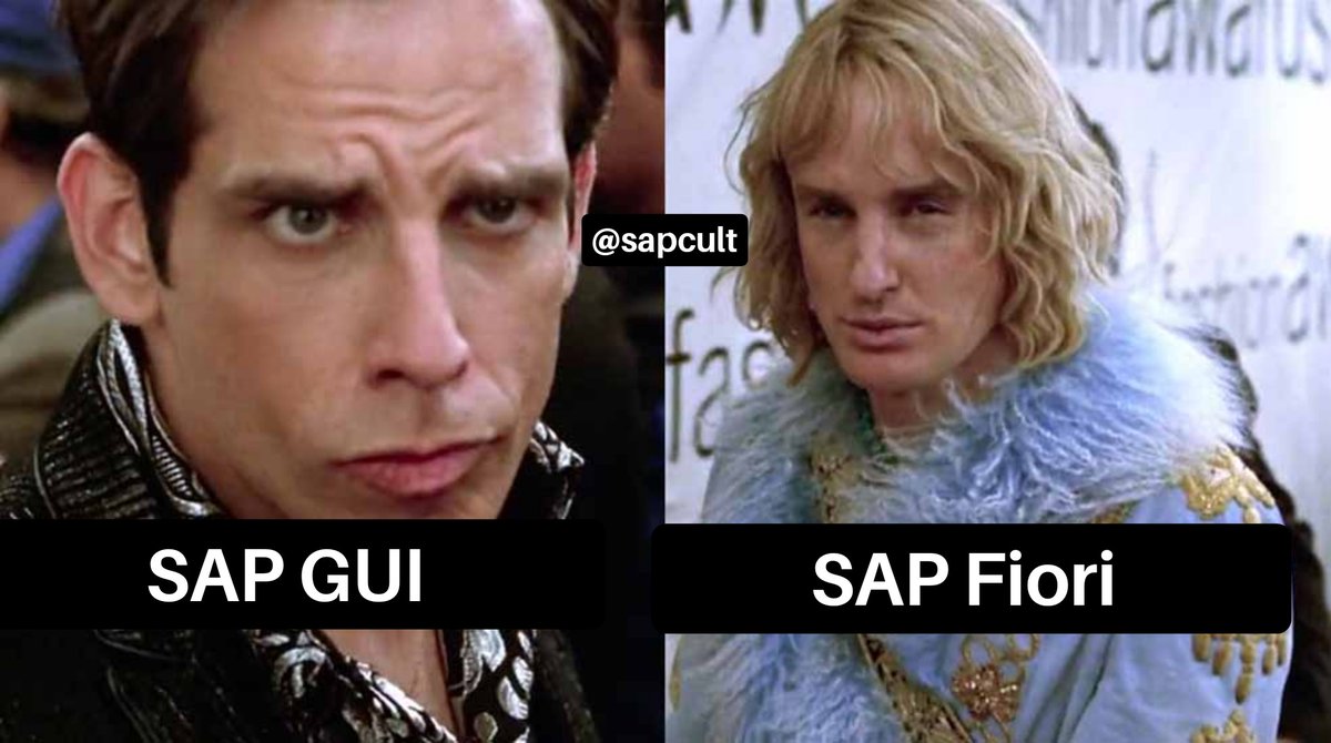 End of story #sapmeme #SAP #sapmemes #sapgui #sapfiori #saphumor