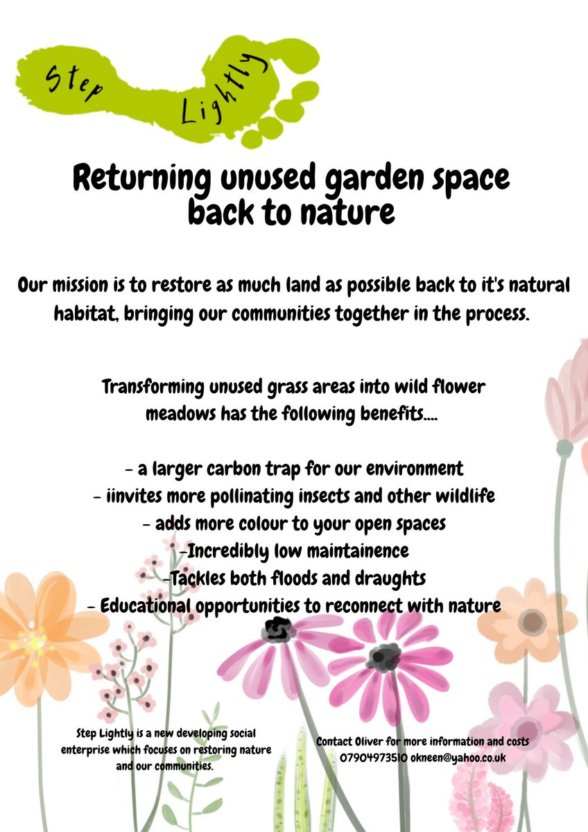 steplightlyh's tweet image. We&apos;re taking a chance with our local community of Copmanthorpe @CityofYork to convert unused garden spaces into wild flower meadows..... Let&apos;s hope we get a positive response.... 🤞🤞🤞