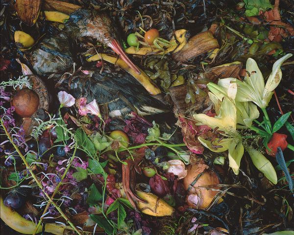 Velkommen til åpningsseminar og ny utstilling! - mailchi.mp/preusmuseum/av…