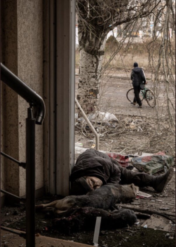 visegrad24's tweet photo. A Ukrainian woman was about to take her dogs for a walk when Russian artillery struck Bakhmut. https://t.co/u1h5fJNJJR