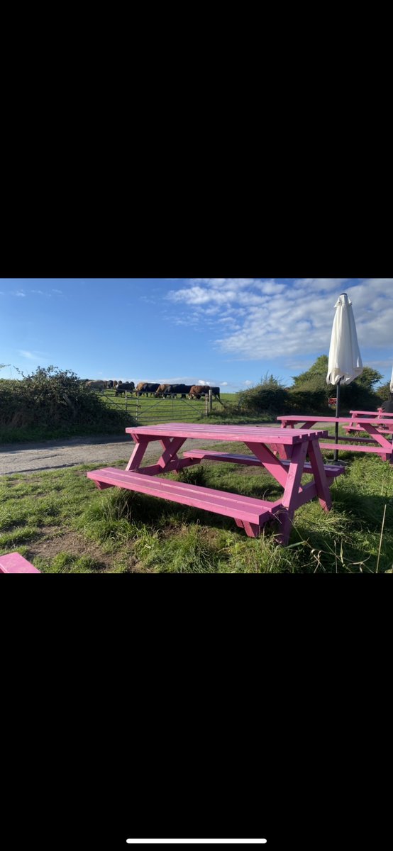CupNeutral's tweet photo. If you're on the Sussex Downs, be sure to check in with one of our fabulous partners, @ThePinkPitStop https://t.co/NGZLhK4jN8