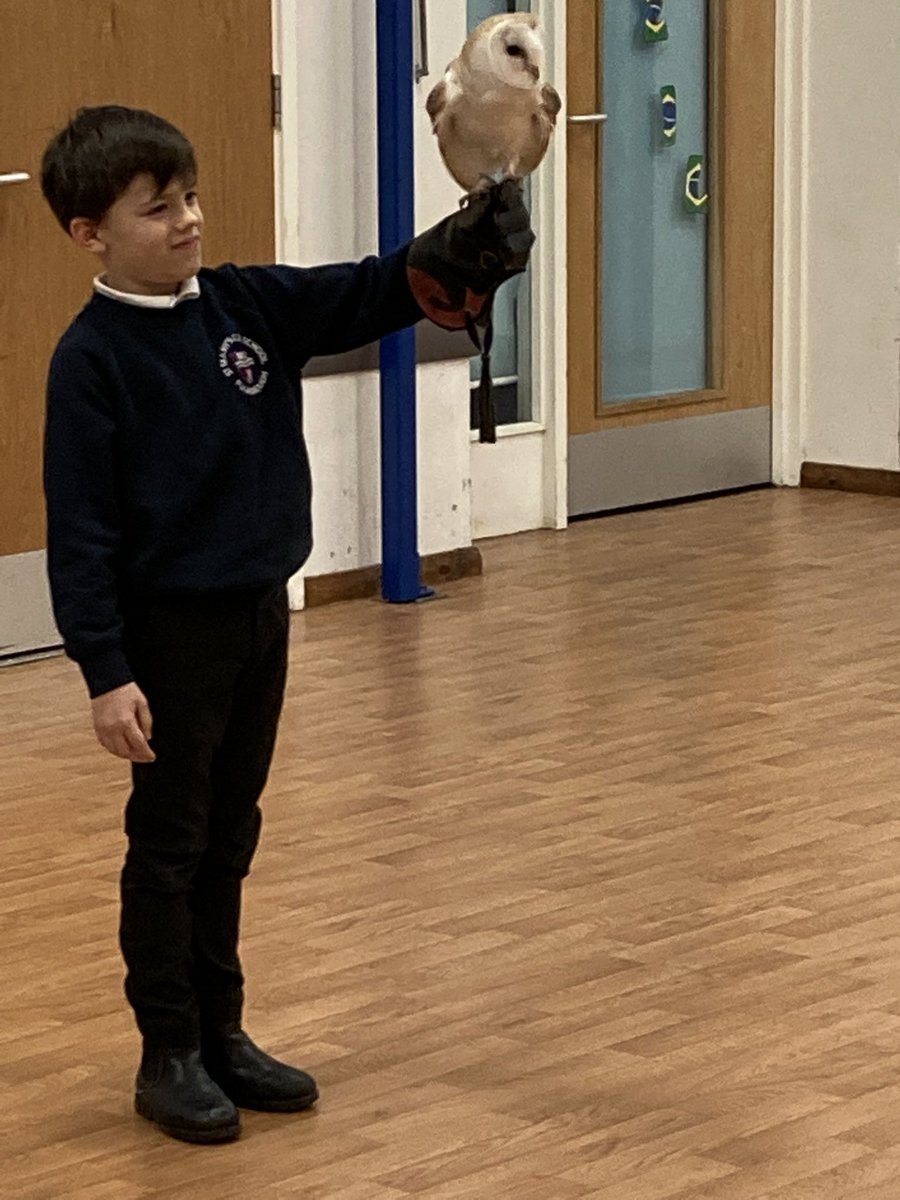 Pulb_school's tweet image. What an opportunity when learning about Predators and Prey. We watched this owl and it’s behaviour. What a wingspan #reallifeexperience #deepeningknowledge #sciencecurriculum