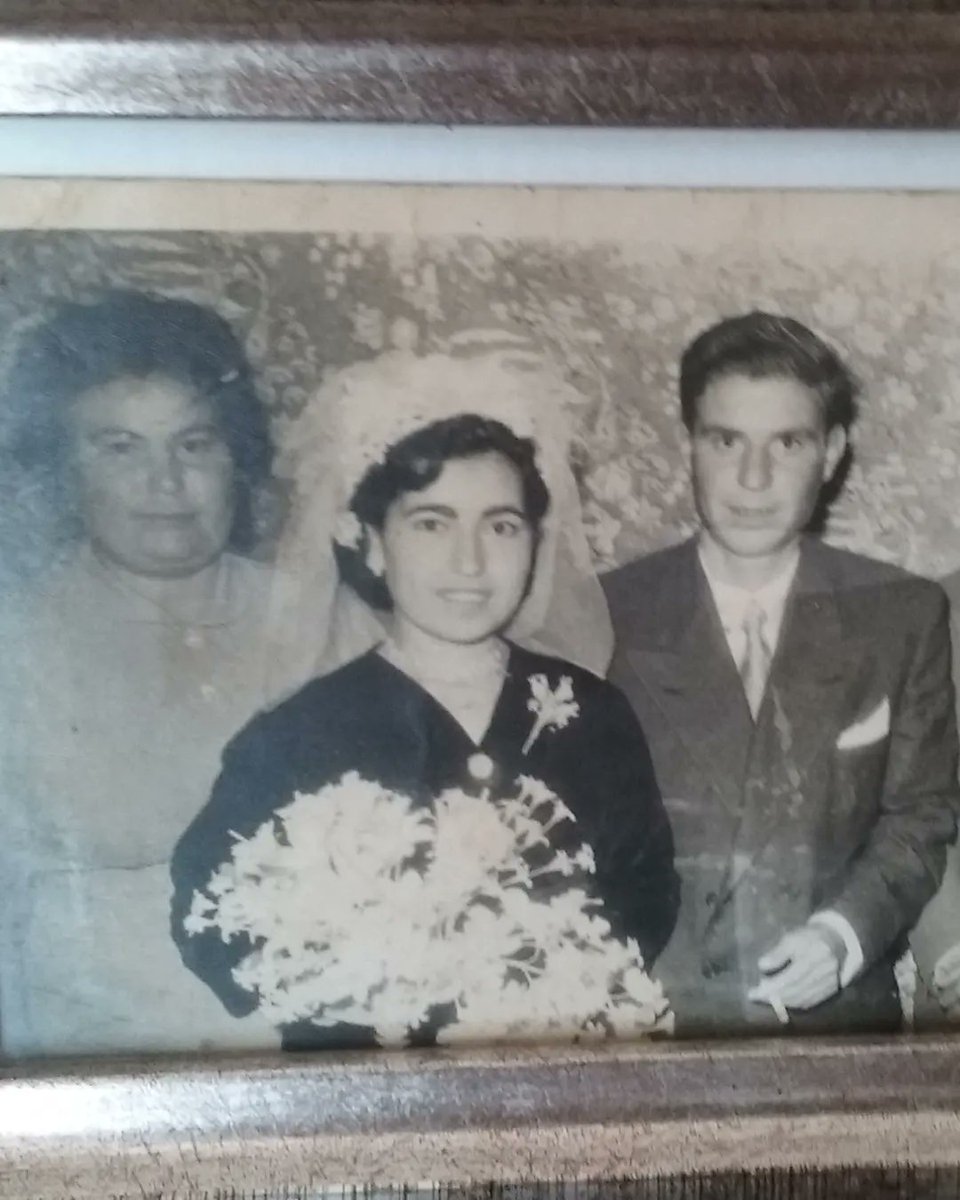 Manuel Sollo tweet media