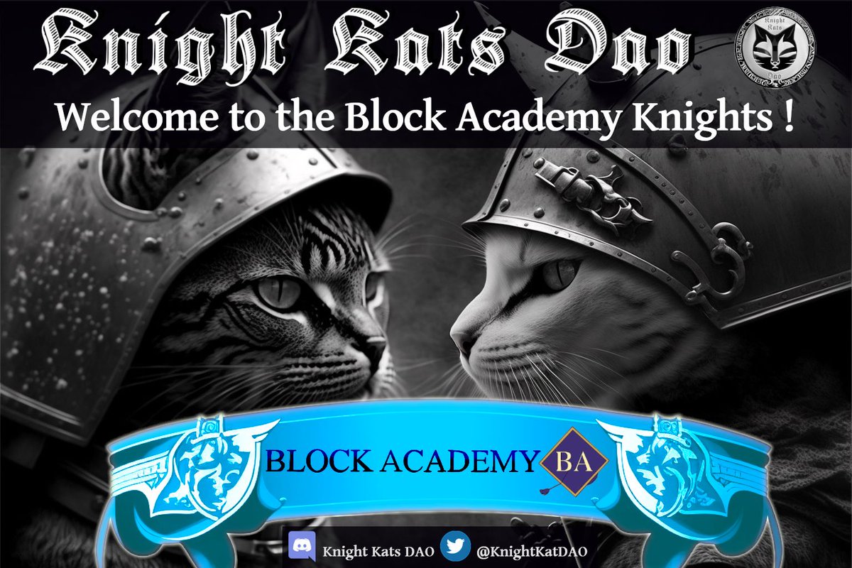 KnightKatDAO's tweet photo. Welcome @BlockAcademyNFT  ⚔

#SolanaCommunity https://t.co/9c5zVRpnyr
