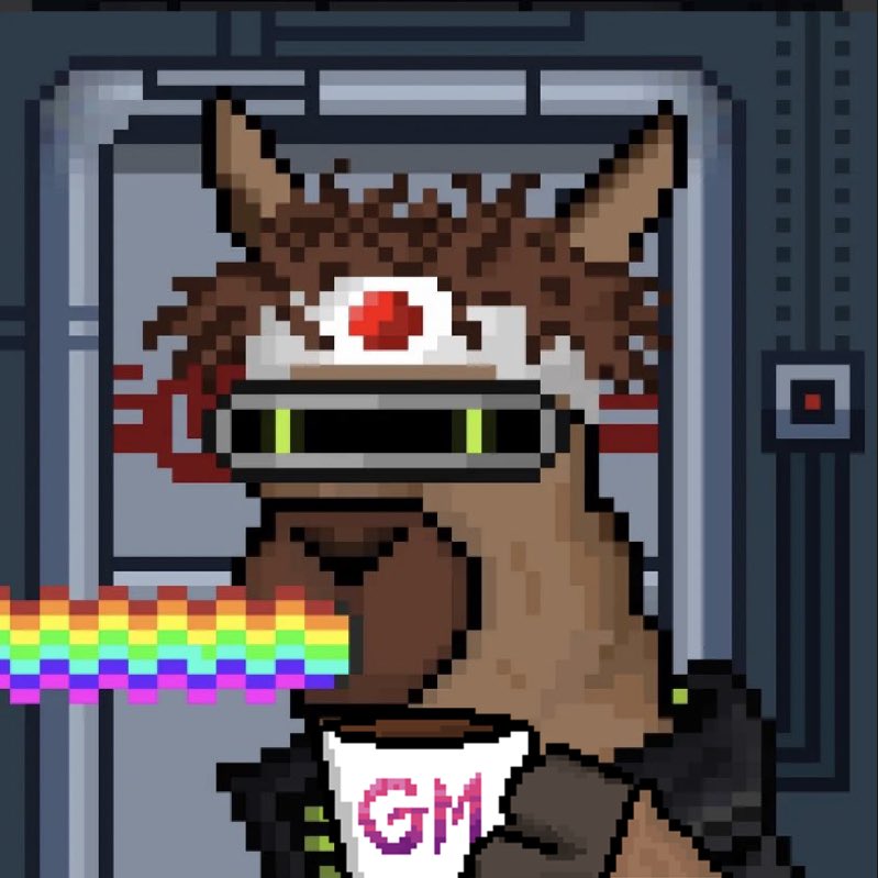 Logan4228's tweet photo. gm @NFTLlama and @Llamaverse_ fam. 4 am and we already gm raiding https://t.co/oXksmSranS