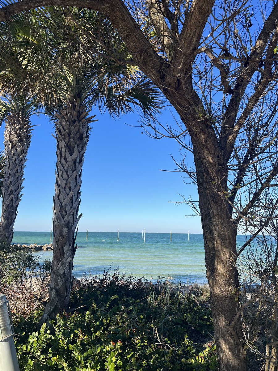 CoachEllisRiley's tweet photo. Heading back home from the Gulf to the Pacific! @ECNLgirls was a success looking for the next generation of #Toreros https://t.co/hTNGc6oOxq