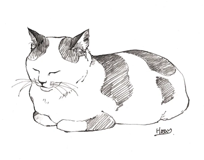 下書きから
ブラッシュアップまでの過程。

ハチワレちゃん。

#猫 #デッサン #線画 #鉛筆画 