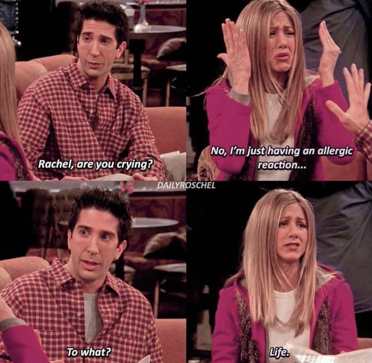 Friends TV Show (@quote_friends) on Twitter photo 