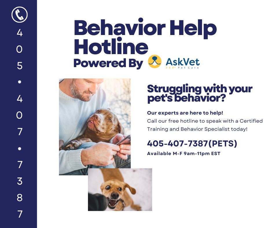 AskVet247's tweet image. Have you been struggling with your pet's behavior? 😔 

Announcing our *free* Behavior Help Hotline! 🐶 🐱 

M-F from 9am-11pm EST you can chat with a Certified Training &amp;amp; Behavior Specialist regarding your pet’s behavior!

Give us a call 405-407-7387📱 

#petbehavior #pethelp