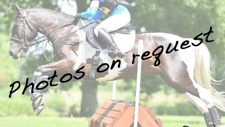 SMART Direct Outlet - a limited selection of ex demo SMART saddles at clearance prices: bit.ly/3XkDm6z