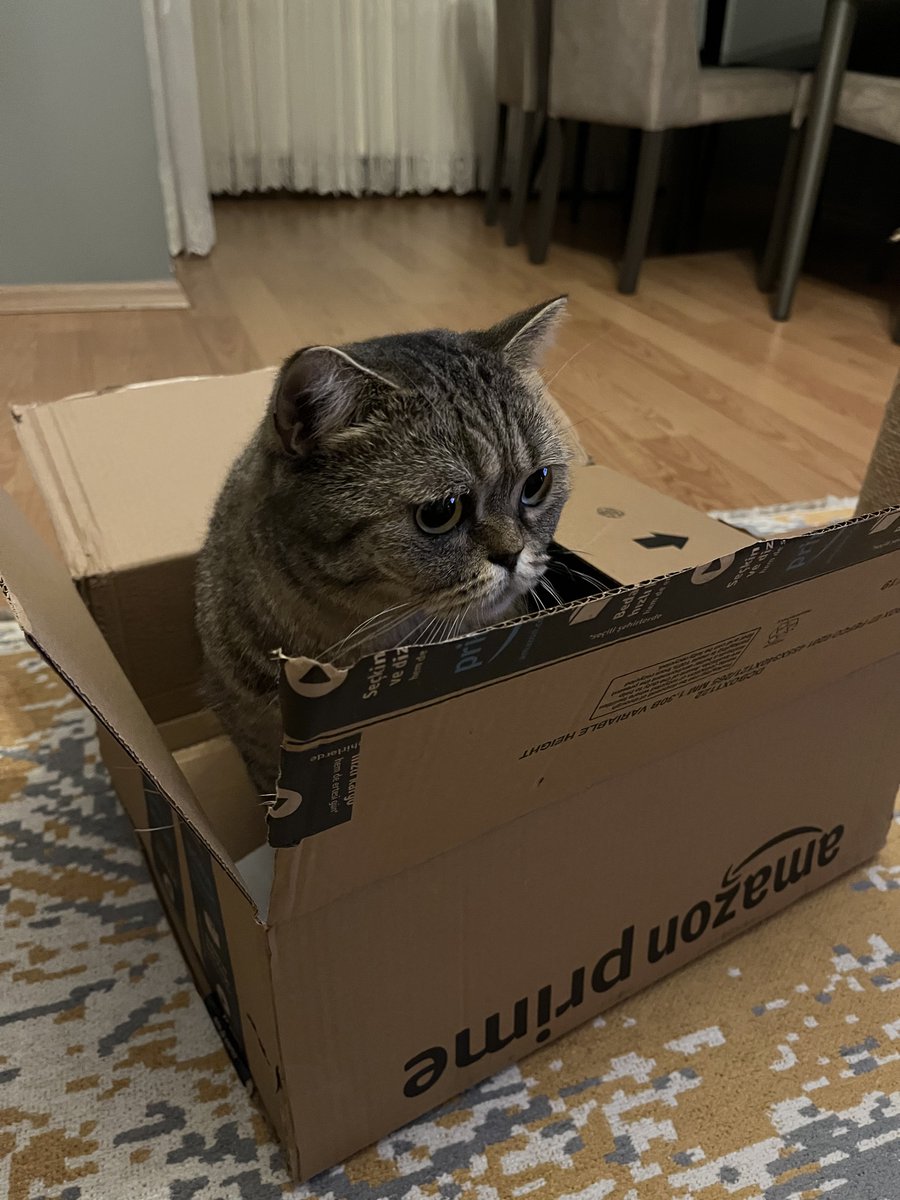 muratdogan29's tweet photo. Sayın @AmazonHelp, bizim paketimiz yanlış geldi. Kedi maması istemiştik, kendisini yollamışsınız 😀 https://t.co/xWLE5fOzhL