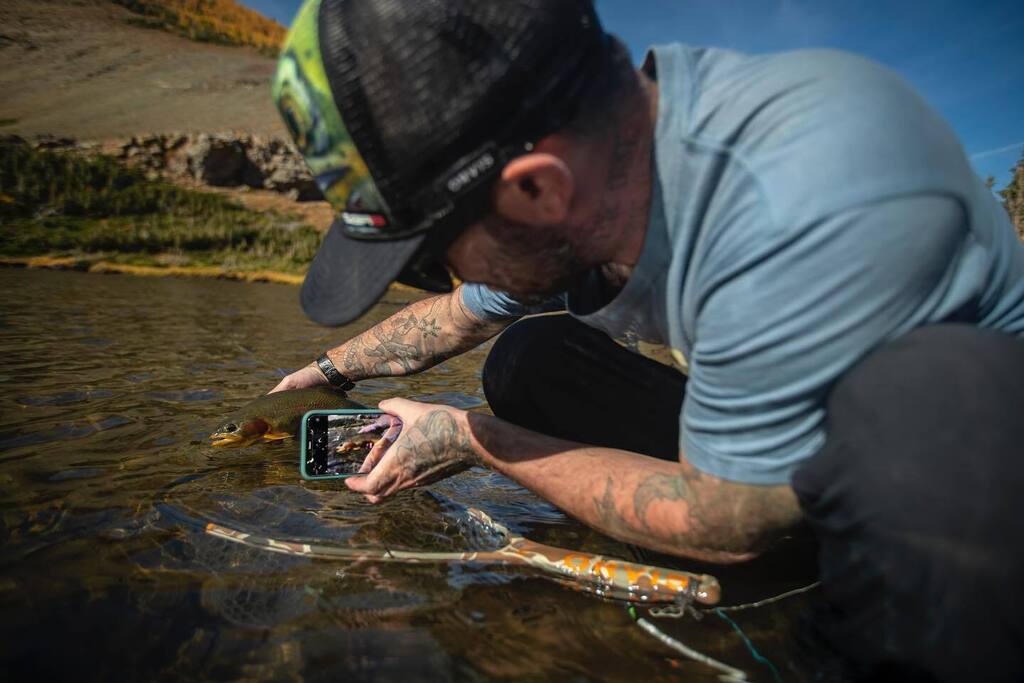 OutFlyFishing's tweet photo. Golden moments. Catch, snap, release.
.
.
.
.
.
.
.
#GoldenTrout #Goldens #ABGoldenTrout #AlpineLakes #ExploreAB #MountainLakes #FlyFishAB #GoldensOnTheFly #KeepFishWet #GoldenMoments #dayOFF #OutFlyFishing https://t.co/Ds6ltFZ2vG https://t.co/jAUabI5gJM